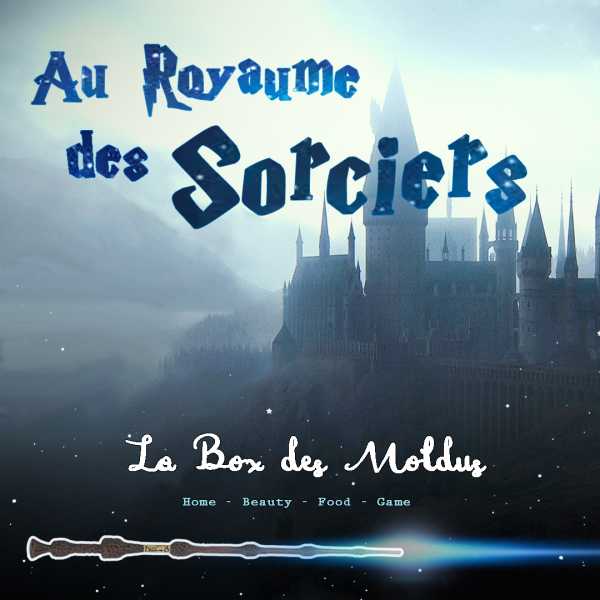 Box Harry Potter "Au royaume des sorciers"