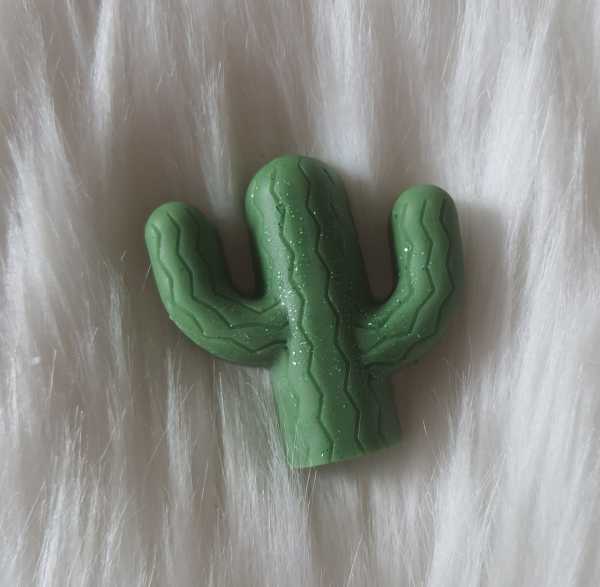 Fondant parfumé cactus